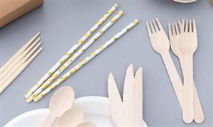 2023一次性餐具行業發展趨勢前景分析