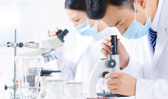 2023對二甲苯行業深度調研與投資戰略研究