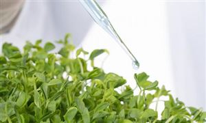 食品安全大數據市場調研 2023食品安全大數據行業前景及現狀分析