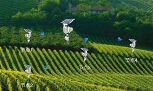 數字農業未來發展方向 數字農業發展前景及現狀分析