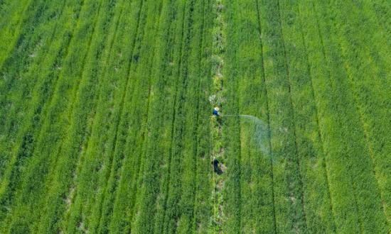 2023生態養殖行業全景調研 生態養殖投資前景分析