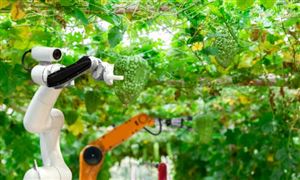 智能農業發展分析 智能農業發展趨勢分析