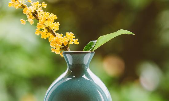 2023花卉種子行業(yè)前景及花卉種子市場(chǎng)態(tài)勢(shì)分析