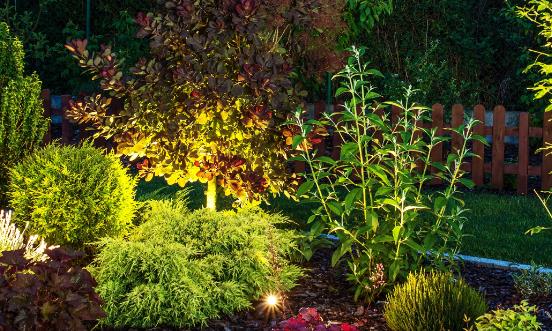 中國園林工程行業(yè)發(fā)展趨勢 中國園林工程行業(yè)發(fā)展前景預(yù)測