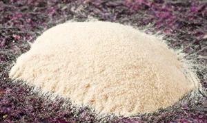 成核劑行業市場未來發展方向及進出口情況分析2023