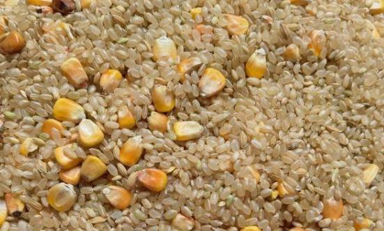 飼料行業(yè)市場格局分析 混合飼料行業(yè)發(fā)展前景及產(chǎn)業(yè)鏈