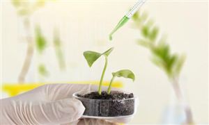 生物菌肥行業供需現狀及未來市場規模預測