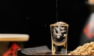 2023年高端禮品酒市場(chǎng)投資前景分析 高端禮品酒市場(chǎng)供需格局研究