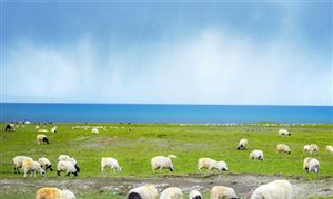 青海省旅游行業發展如何 青海省旅游行業市場投資潛力