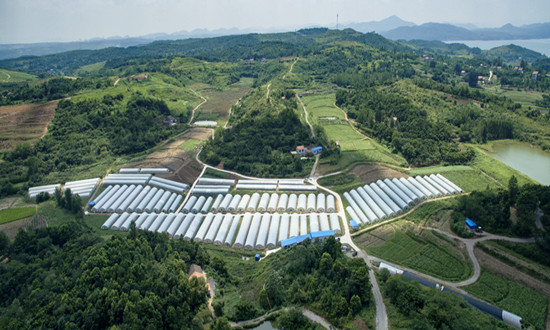 2023年農村信用社行業現狀分析