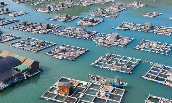 生鮮O2O行業(yè)分析報(bào)告2023生鮮O2O市場(chǎng)前瞻預(yù)測(cè)