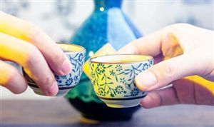 中國清酒行業市場發展前景展望2023