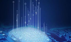 騰訊阿里刷掌支付又有新動(dòng)作 應(yīng)用規(guī)模不斷擴(kuò)大 指紋識(shí)別行業(yè)市場(chǎng)發(fā)展前景預(yù)測(cè)與投資戰(zhàn)略研究報(bào)告