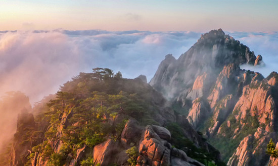 全域旅游上升為國家戰略 全域旅游行業市場前瞻2023