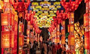 已認(rèn)定1557項(xiàng) 國家級(jí)非遺代表性項(xiàng)目 民俗文化行業(yè)現(xiàn)狀與發(fā)展趨勢(shì)及前景預(yù)測(cè)報(bào)告