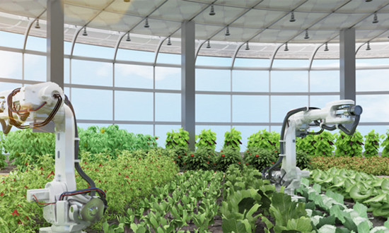 生物農業行業現狀分析 生物農業行業發展策略