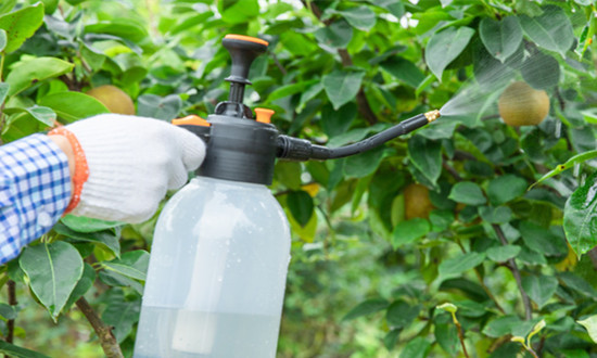 生物農業行業現狀如何 生物農藥行業未來前景廣闊