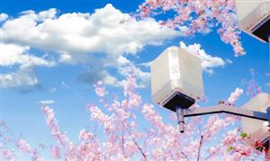 盲盒行業市場調研2023