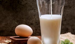 2023年中國蛋制品行業發展趨勢及投資風險