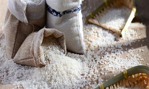 大米行業(yè)市場多大?有機(jī)大米行業(yè)市場投資前景及供需格局分析