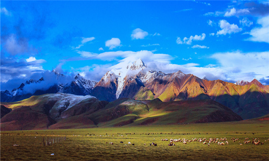 2023西藏旅游行業現狀與市場發展前景趨勢分析