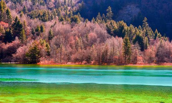 四川省在線旅游行業市場現狀 四川省在線旅游市場發展前景預測