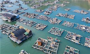 2023海洋牧場行業(yè)發(fā)展趨勢及市場現(xiàn)狀分析