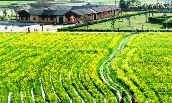 農(nóng)莊旅游行業(yè)發(fā)展態(tài)勢(shì) 農(nóng)莊旅游行業(yè)投資前景