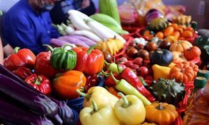 十一部門聯合發文 特色食品行業迎來重大利好 特色農產品行業發展分析與投資前景預測報告