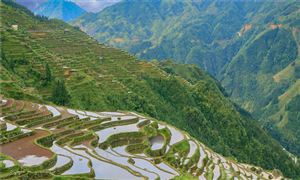 2023鄉村旅游行業現狀與市場發展前景趨勢分析