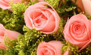 鮮花電商的三種行業(yè)模式 產(chǎn)業(yè)鏈流通環(huán)節(jié)將是最大盈利點 鮮花電商市場運行分析報告