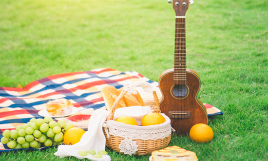 野餐用品行業(yè)市場(chǎng)需求前景及投資策略