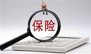 信用保險行業未來投資方向 信用保險行業發展前景投資分析