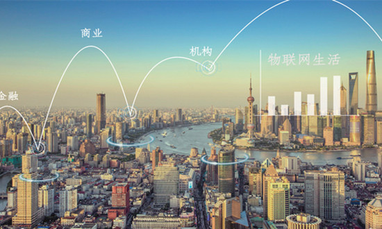 中國城域物聯網行業發展分析及投資預測