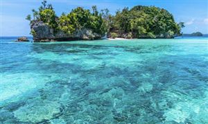 中國海洋生物醫藥行業市場需求 中國海洋生物醫藥行業產值分析