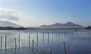 中國(guó)水產(chǎn)養(yǎng)殖行業(yè)深度調(diào)研與發(fā)展趨勢(shì)預(yù)測(cè)研究報(bào)告2023