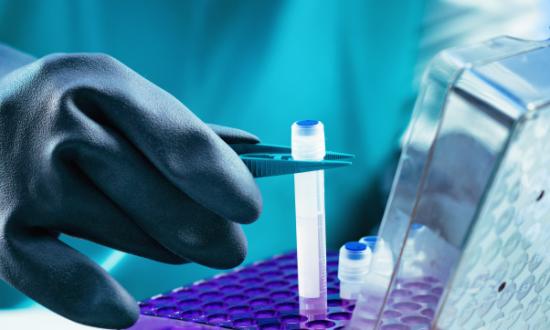 2023紫杉醇原料藥行業前景與市場需求分析