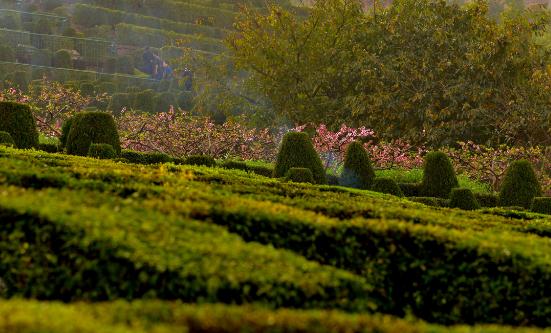 陵園墓地行業現狀調研分析2023