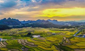 一季度農業農村經濟運行情況：穩步提升糧食產能 全面推進鄉村振興