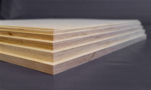 膠合板產業深度調研及發展趨勢分析2023