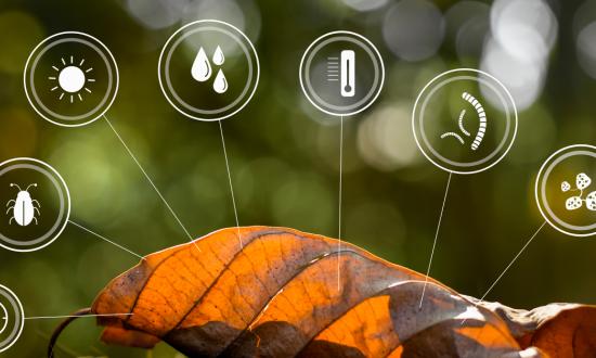 微生物肥料行業市場運行態勢