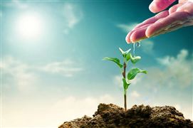 險資多舉措加碼綠色投資 2023我國的綠色金融發展模式