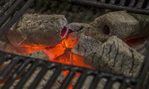 2023木炭行業發展規模分析及木炭行業前景分析