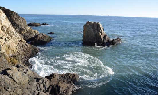 中國南美白對蝦行業(yè)市場全景調(diào)研與發(fā)展前景預(yù)測報(bào)告