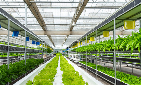 2023互聯網+農業行業市場研究分析報告