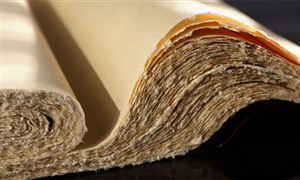 木漿行業(yè)市場投資前景及未來現(xiàn)狀趨勢分析