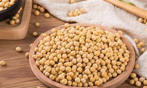 2022年智慧農(nóng)業(yè)的需求規(guī)模以及技術(shù)發(fā)展趨勢分析