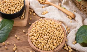 國家糧食和物資儲備局：國產大豆供應充足 進口大豆糧源充足