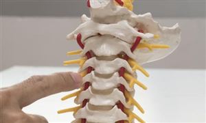 2022仿生骨市場的趨勢及仿生骨行業前景分析