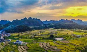 2023數字鄉村市場現狀與未來發展趨勢分析